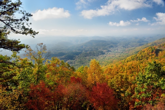 fall-colors-of-the-smoky-mountains